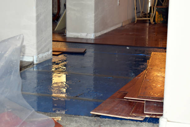 Professional Basement Flood Cleanup technician working in Silverdale, PA